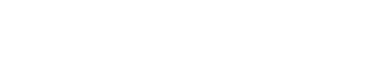 Austin Asset